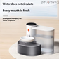 Automatic Water Feeder
