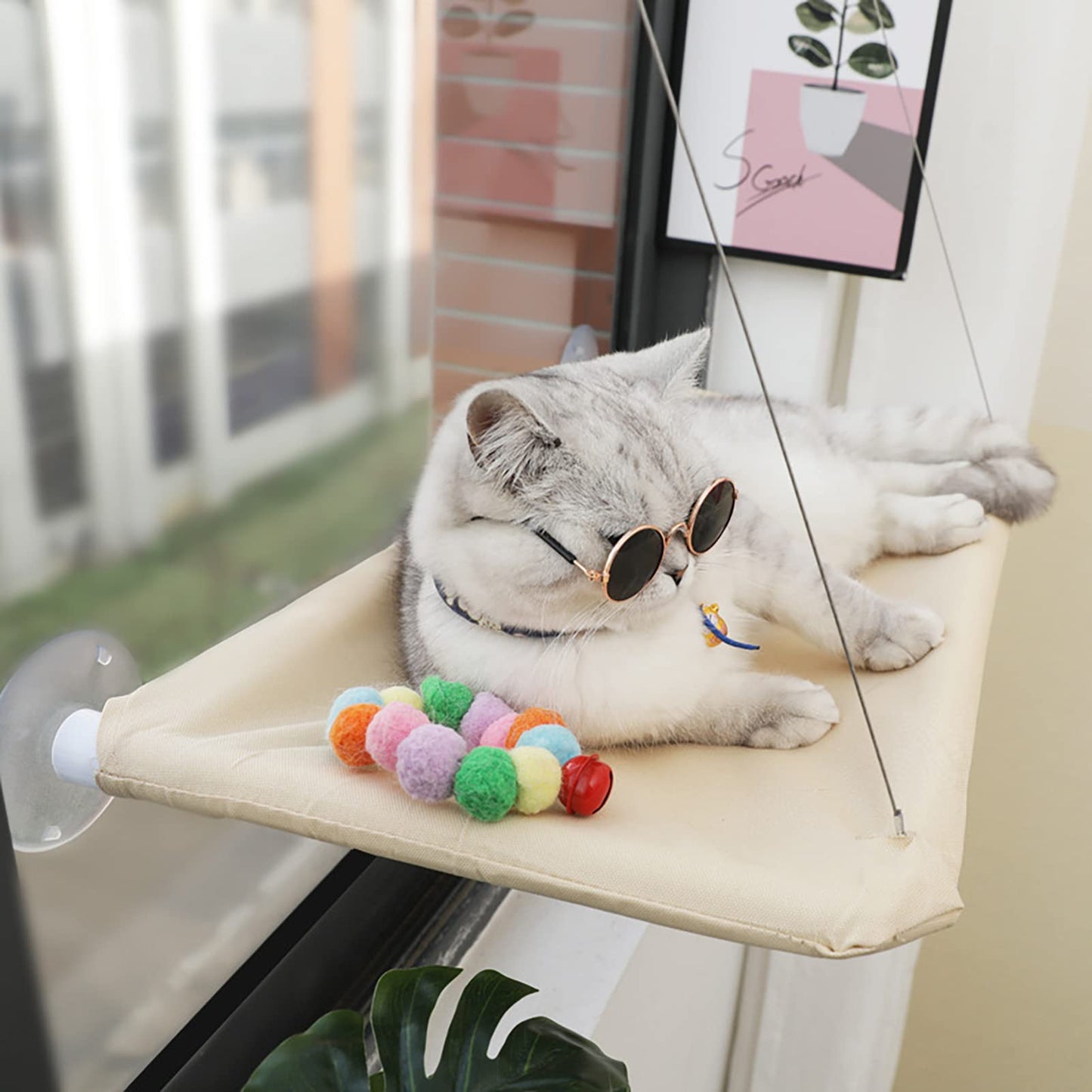 Cat Window Hammock — Suction Cup Sunbed for Indoor Cats (44 lb)