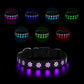 LED Light-Up Dog Collar — USB-C Rechargeable Night Safety