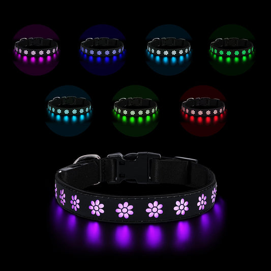 LED Light-Up Dog Collar — USB-C Rechargeable Night Safety