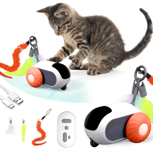 BABORUI remote control cat toy car 2-speed feather enrichment