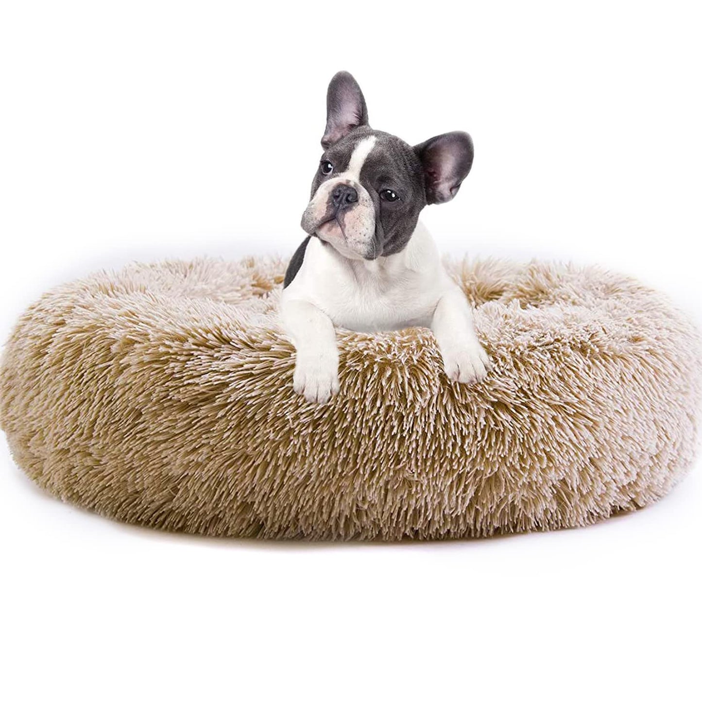 Donut Calming Dog Bed — Anti-Anxiety Cuddler for Small Dogs & Cats