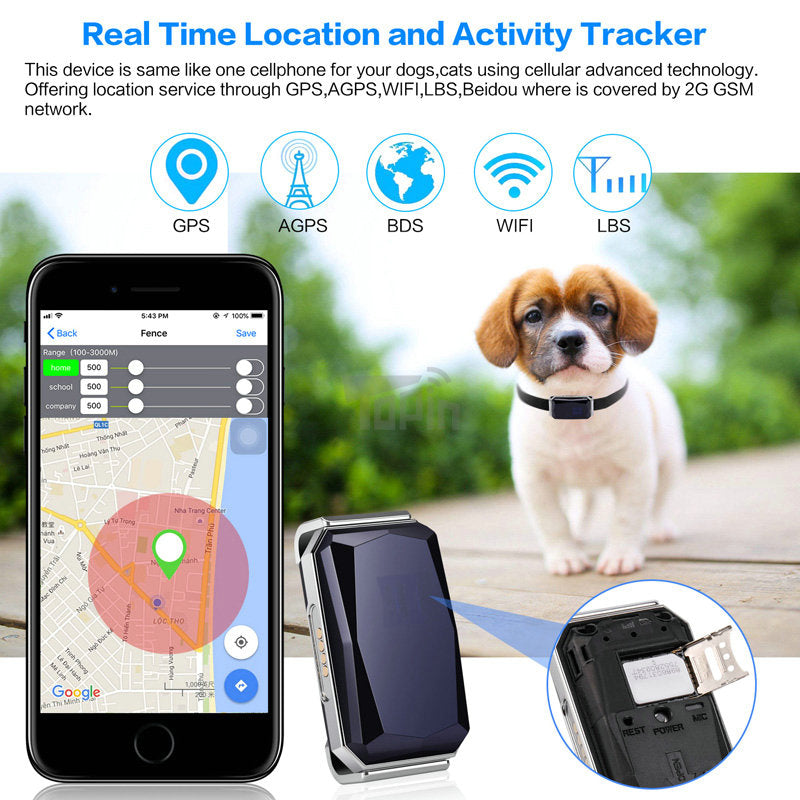 GPS Pet Tracker Collar — Real-Time Location for Lost Dogs & Cats
