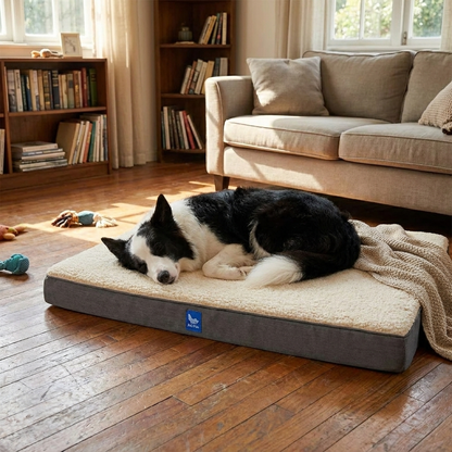 Orthopedic Memory Foam Dog Bed lifestyle