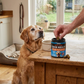 Senior Dog Joint Supplement Chews lifestyle