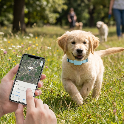 PawsPath Pet GPS Tracker Collar lifestyle